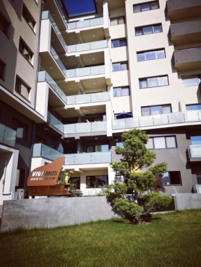 Vivamus Studio Braşov
